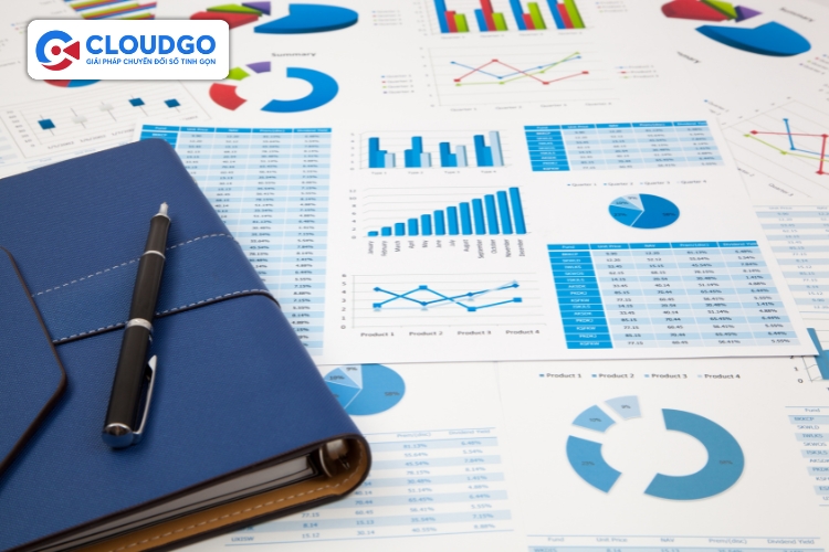 Người quản lý dự án có vai trò báo cáo và ra quyết định chiến lược