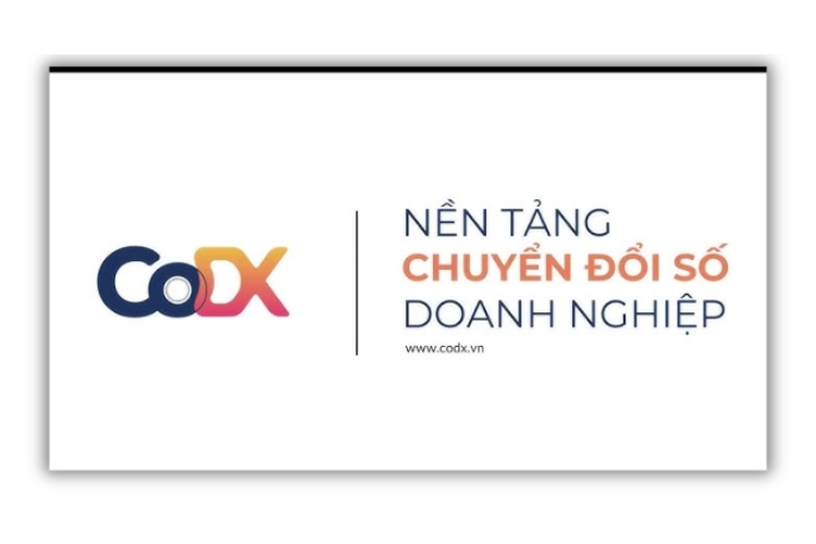 Phần mềm CoDX Task
