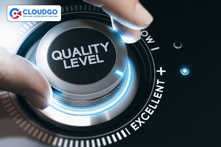 Người quản lý dự án có vai trò quản lý, giám sát chất lượng công việc